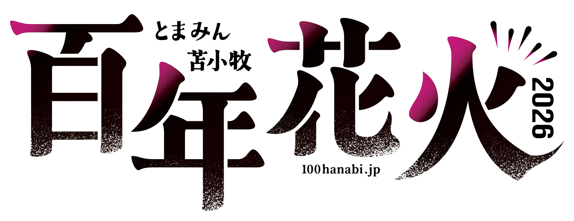 とまみん苫小牧百年花火